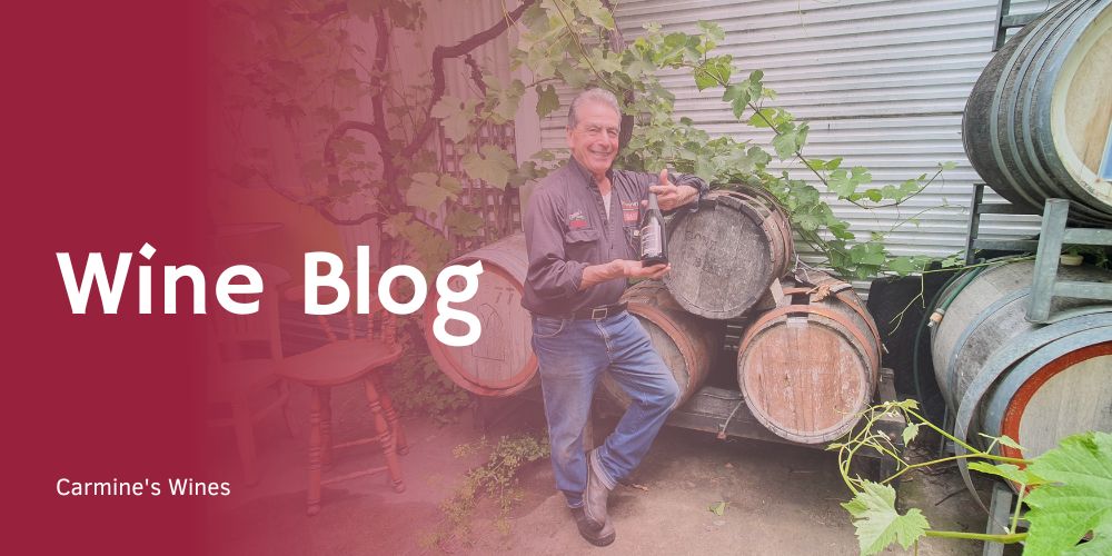 Wine blog (1)